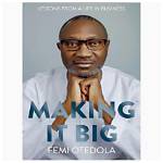Who Is Femi Otedola? Biography and Life Achievements of the Nigerian Billionaire