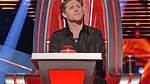 Who Is Niles on the Voice? Niall Horan Debut as ‘The Voice’ Judge 2023