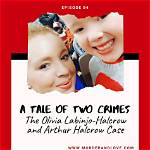 Who Is Olivia Labinjo-Halcrow? Arthur Labinjo-Hughes Mother