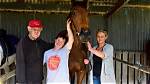Who Is Paddy Payne? Everything to Know About the Senior Horse Trainer