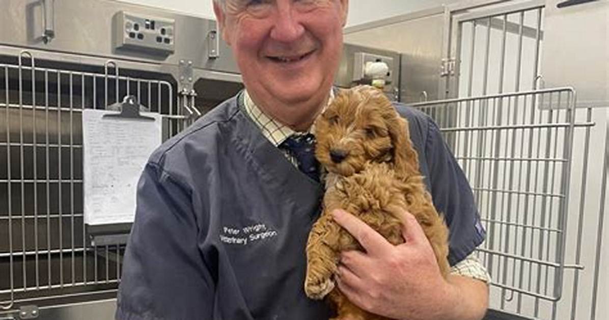 Who Is Peter Wright Yorkshire Vet? His Wikipedia and Age