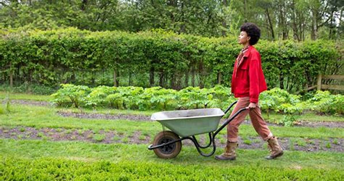 Who Is Poppy Okotcha? Details to Know About the Horticulturist