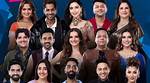 Who Is Praneet Akilla? Details to Know About the Cast of Skymed