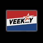 Who Is Rinus Veekay? Everything to Know About the Racing Driver