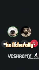 Who Is Youtube Star Veshremy and Has He Done His Face Reveal?