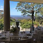 Wildenstein Murder, James Stein Blue Mountains Family Tree – Who Is Justin Stein Brother?